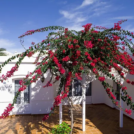 Livvo Coloradamar * Playa Blanca